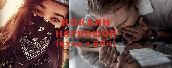 прущий лед Инсар