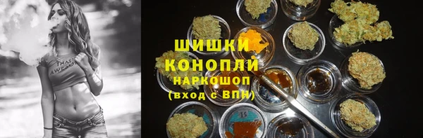 хмурый Инта