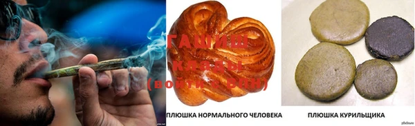 хмурый Инта