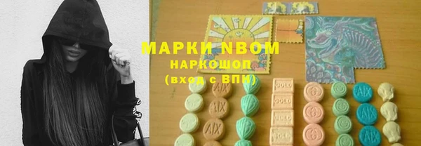 прущий лед Инсар