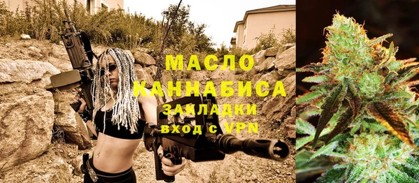 хмурый Инта