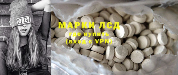 прущий лед Инсар