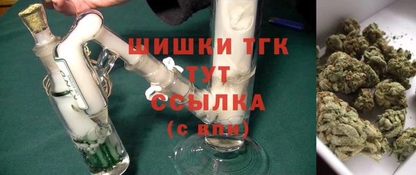 хмурый Инта
